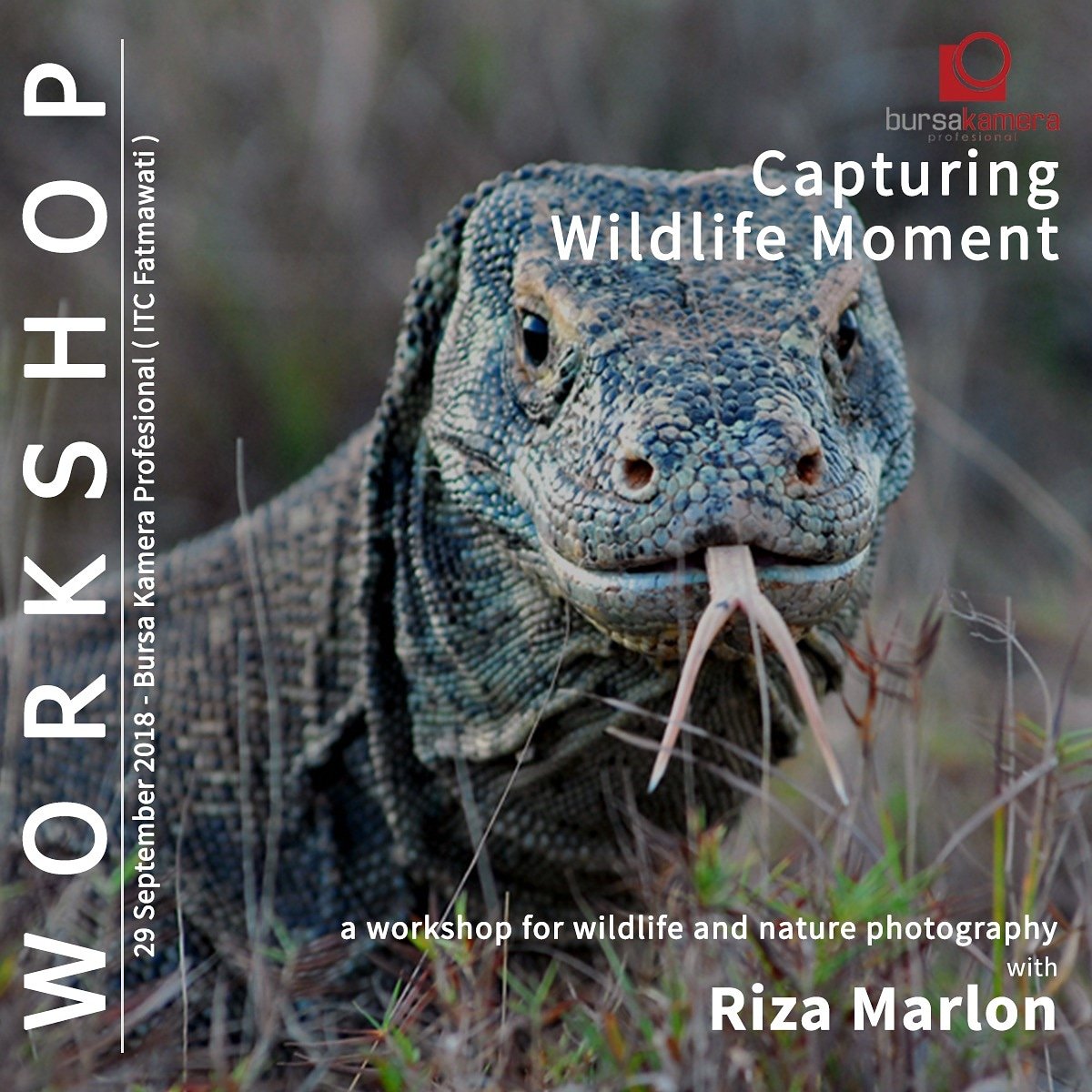 Capturing Wildlife Moment with Riza Marlon
